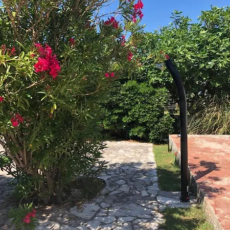 Holiday home Viric Ds - - 35m Vom *
